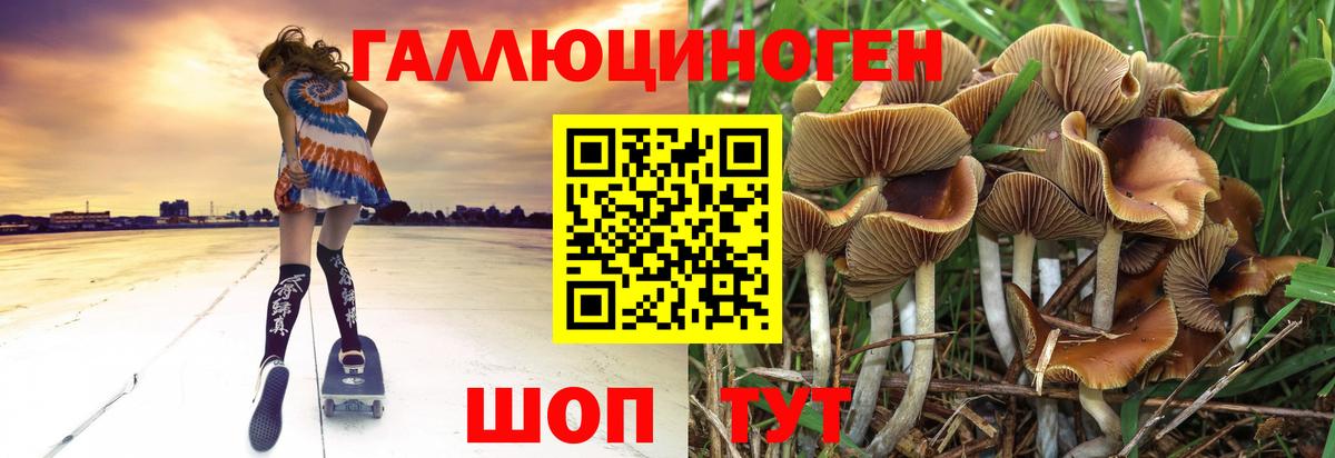 Галлюциногенные грибы мицелий  где продают наркотики  Севастополь  Вход с VPN 